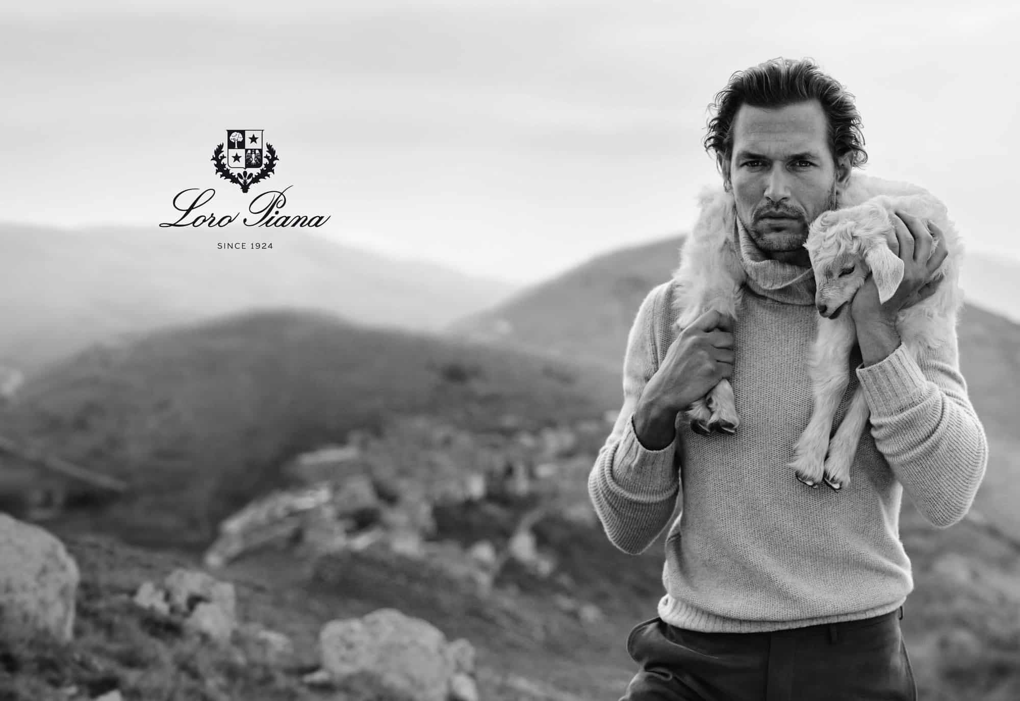 Read more about the article Loro Piana и их ткани